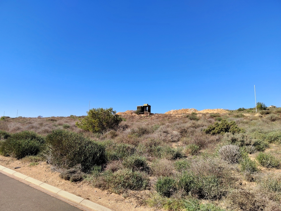 0 Bedroom Property for Sale in Steenbergs Cove Western Cape